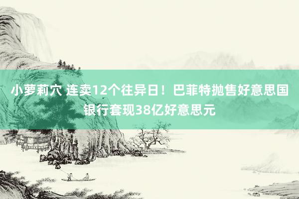 小萝莉穴 连卖12个往异日！巴菲特抛售好意思国银行套现38亿好意思元