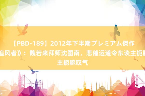 【PBD-189】2012年下半期プレミアム傑作選 《追风者》：魏若来拜师沈图南，悲催运道令东谈主扼腕叹气