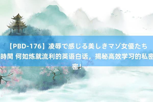 【PBD-176】凌辱で感じる美しきマゾ女優たち8時間 何如炼就流利的英语白话，揭秘高效学习的私密！