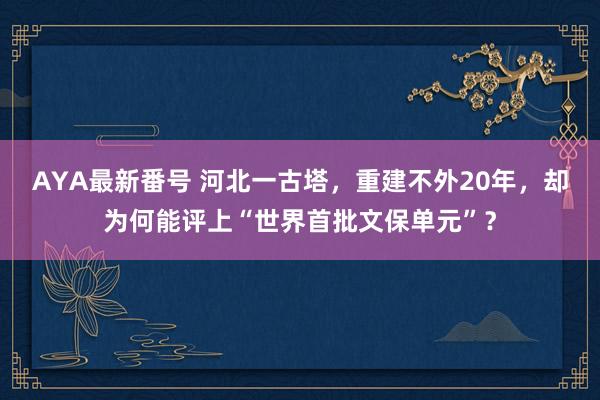 AYA最新番号 河北一古塔，重建不外20年，却为何能评上“世界首批文保单元”？