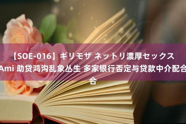 【SOE-016】ギリモザ ネットリ濃厚セックス Ami 助贷鸿沟乱象丛生 多家银行否定与贷款中介配合