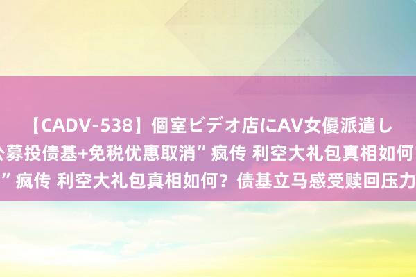 【CADV-538】個室ビデオ店にAV女優派遣します。8時間DX “贬抑公募投债基+免税优惠取消”疯传 利空大礼包真相如何？债基立马感受赎回压力