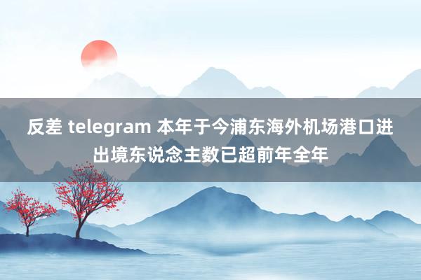 反差 telegram 本年于今浦东海外机场港口进出境东说念主数已超前年全年