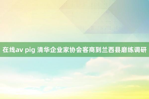 在线av pig 清华企业家协会客商到兰西县磨练调研