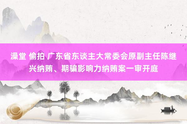 澡堂 偷拍 广东省东谈主大常委会原副主任陈继兴纳贿、期骗影响力纳贿案一审开庭