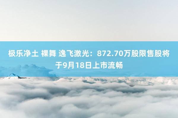 极乐净土 裸舞 逸飞激光：872.70万股限售股将于9月18日上市流畅