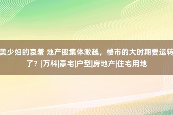 美少妇的哀羞 地产股集体激越，楼市的大时期要运转了？|万科|豪宅|户型|房地产|住宅用地