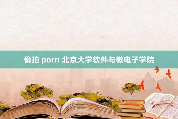 偷拍 porn 北京大学软件与微电子学院